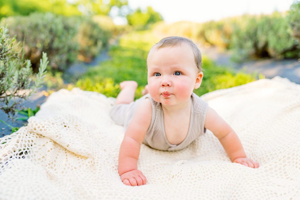baby laying on blanket during 6 month wildflower family session